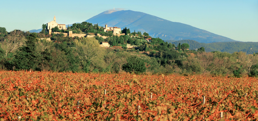 Cairanne - La Richesse de la Vallée du Rhône en Rouge et Blanc