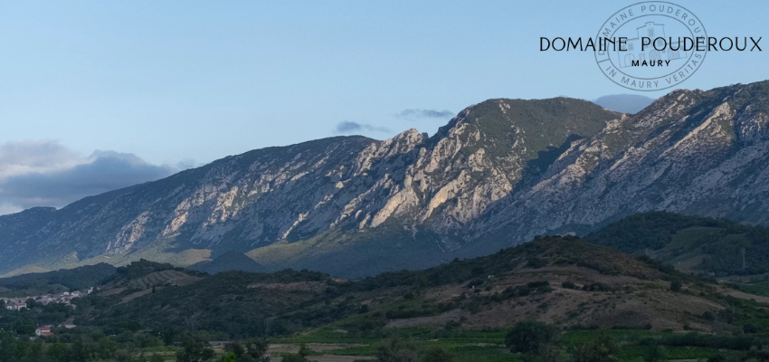 Domaine Poudeoroux - L'Âme du Languedoc en Bouteille