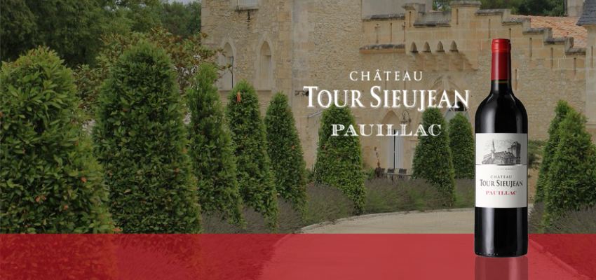 Château Tour Sieujean 2013 - Finesse & Gourmandise