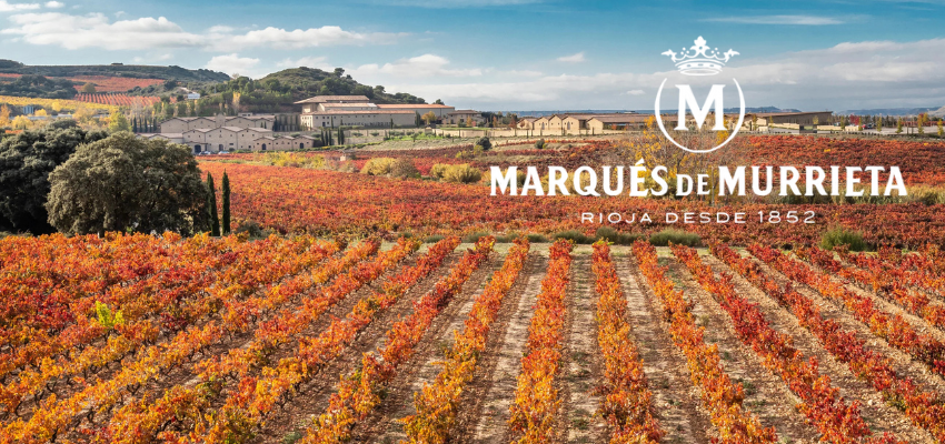Marqués de Murrieta – Domaine historique de Rioja et vins d’exception