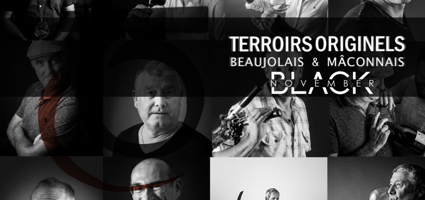 Terroirs Originels | Vins authentiques issus des grands vignobles