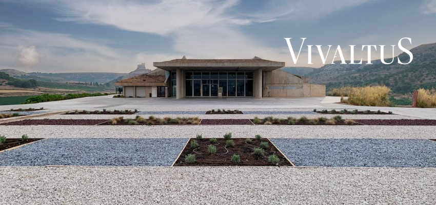 Vivaltus 2020 | Grand vin de Ribera del Duero