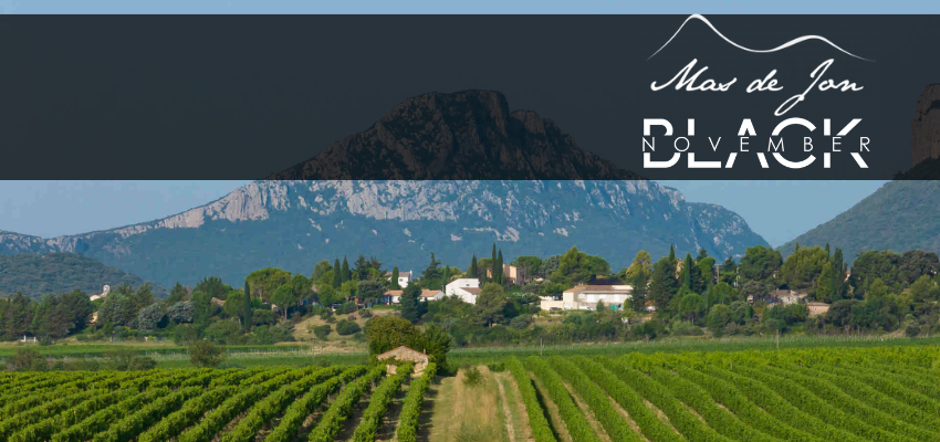 Mas de Jon | Vins d’Exception en AOP Pic Saint-Loup