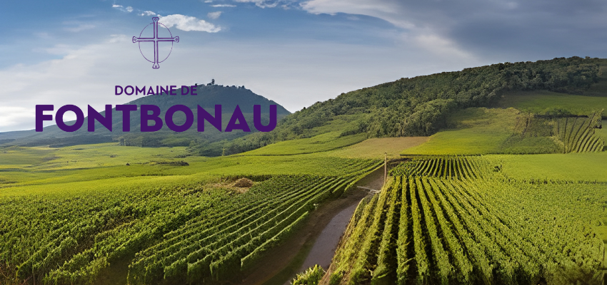 Domaine de Fontbonau – L’élégance authentique des Côtes du Rhône