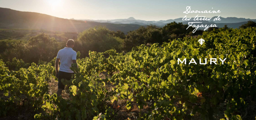 Domaine Les Terres de Fagayra – Maury d’exception