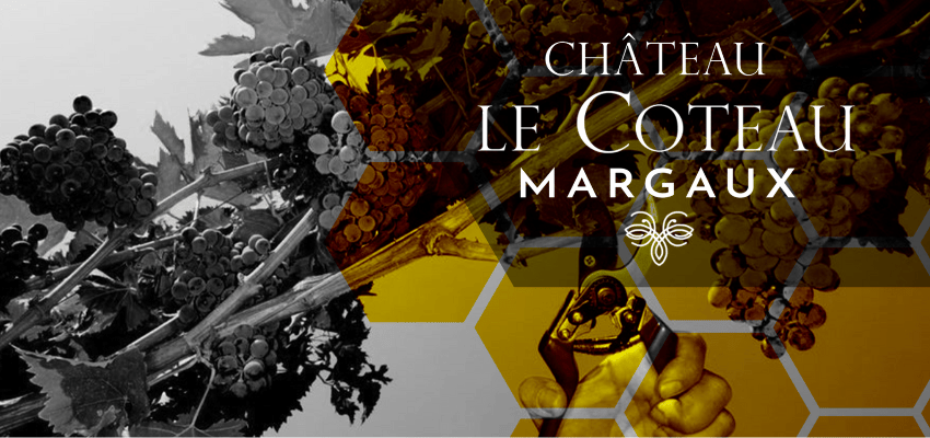 Château Le Coteau