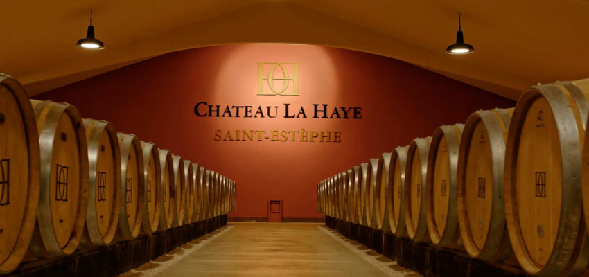 Château La Haye – Vins de Saint‑Estèphe d’élégance et de puissance
