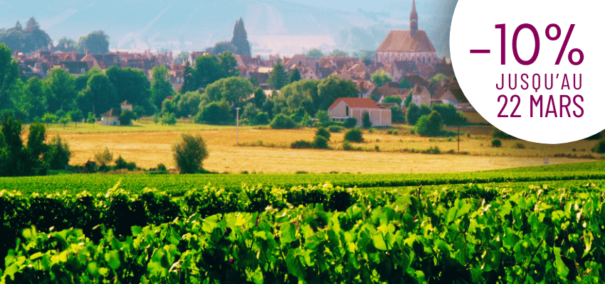 Nos Vins Blancs Iconiques : Chablis – L’élégance minérale