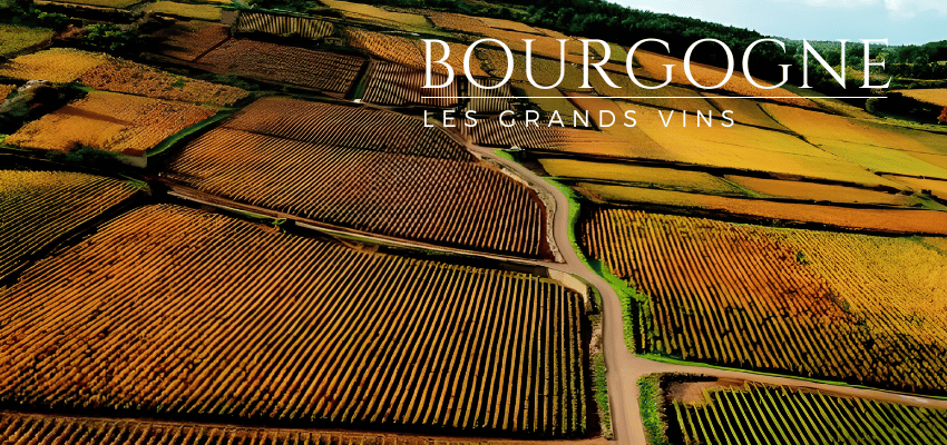 Grands Vins de Bourgogne