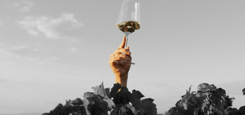 Nos Vins Blancs Iconiques – Grands vins Blancs d’exception